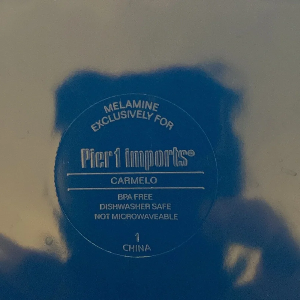 Pier 1 Imports Blue Melamine Plate